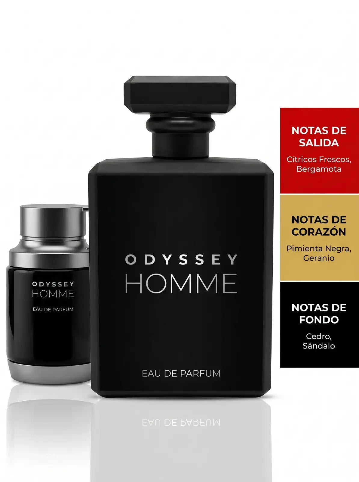 PERFUME ODYSSEY HOMME (INSPIRACION)